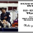 렛츠개릿 이미지