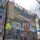 진일프라자 Daum카페