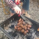 포레스트 캠핑장