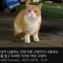 전가복 이미지