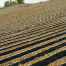 순호농장 이미지