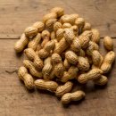 원일농원 이미지