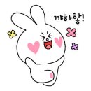 우림필유(아) 이미지