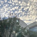 대금 및 소금 이미지