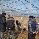 함평센터-9 이미지