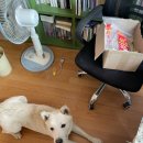 갈월버섯농장 이미지