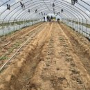 감사한농장 이미지