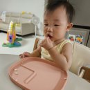 마제농장 이미지