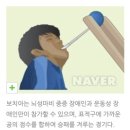 걸포다목적체육관 | 김포시장배 장애인 보치아 대회 2023년/ 봉사/ 보치아경기/ 김포시 장애인 체육회