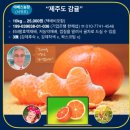 용산농장 이미지