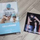 프롭테라피&밴드운동 | 두통 있을 때 써본 셀버린 냉찜질팩, 김종국 셀버린헤드밴드 솔직 후기