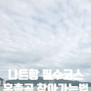 [나트랑 자유여행] 나트랑 가볼만한곳 로컬 버스로 혼총곶 가는방법 후기