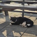 아주오토렌탈㈜ | 3트만에 예약성공한 파주 임진각<평화누리캠핑장>/관광취약계층 할인제도