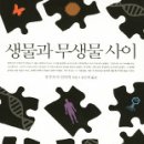 사이 이미지