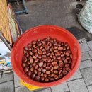 정다운떡집 - 북구 학사로 13 | 정다운떡집