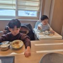 파라솔장어 이미지