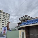송원 | [송정] 싱싱하고 맛있는 송원물회 방문후기