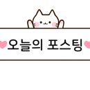 영덕산마루민박 이미지