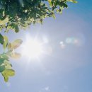 봄여름가을겨울(충무대로) 이미지