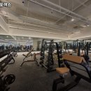 미광스포렉스