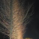 장암진성 이미지