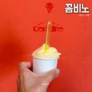 꼼비노 | 제주 젤라또 맛집 꼼비노 성게 아이스크림 추천