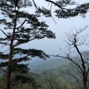 용문산 정상 이미지