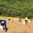 우보면 행정복지센터 이미지