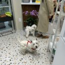 반자주 엘시티점 이미지