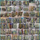 남악장례식장 이미지