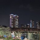 꽃길 - 동작구 | 꽃길