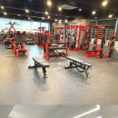 네로PT짐 이미지