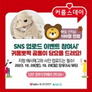 데이, 멍 이미지