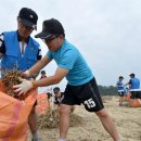 대민상사 이미지