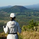 올레한의원 이미지