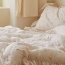 파리의 아침 이미지