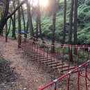 성산 유아숲체험원 이미지