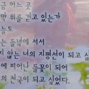 증촌 티스토리