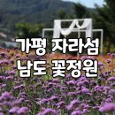 제천푸른솔산악회 / 아침고요수목원 / 가평 자라섬 남도 꽃정원 걷기기행 계획 이미지