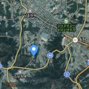 김유정로 이미지