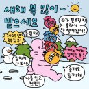 나나까까 | 나나주주 아기 복주머니 구매 후기 / 설날준비 / 귀여움