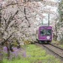 오사카 | 일본 이심 사용법 esim 데이터 무제한 오사카 여행 후기