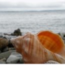 (주)에스앤디홀딩스 이미지