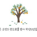 에스와이뷰티크 이미지
