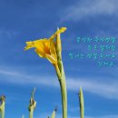 지광 이미지