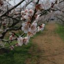 상대농원 이미지