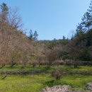 화순믿음공인중개사사무소 이미지