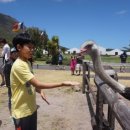 유학농장 이미지