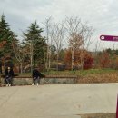 바다향기수목원(도서식물원) 이미지