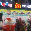 8딱8딱회바라기 이미지